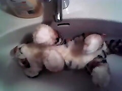 litte plushy gets a shower