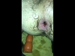 jung bitch ant balls