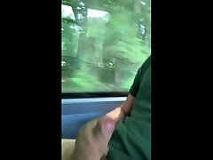 cock in public transport