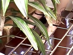 Redheaded Housewife Boned And Jizzed On While Husband Watches