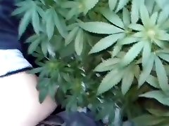 POTHEAD SEX--420-HIPPIES HAVING HOT SEX IN vid mid OF POT PLANTS- POTHEAD SEX 420