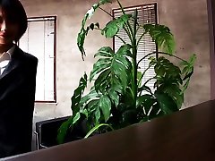 Thick Guests Only Office Secretary a