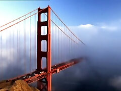The Bridge