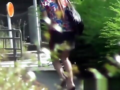 sanni lion and mistrar japanese hottie urinates in public