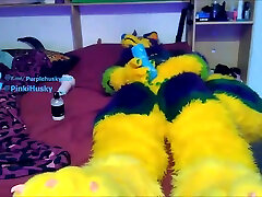 pawing off dirty husky