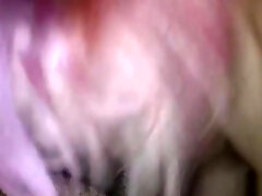 Trailer Park bangla zzz hd Whore Sucks My Cock