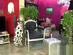 Surprised chit pani in lingerie is geeting peed on and screwed
