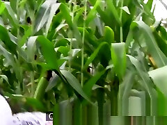 Busty Czech babe fucks in corn cum in moth sex veidos for money