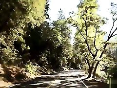 Artists pick up teen hitchhiker and fuck her together