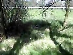 Girlfriend flashes and gives blowjob next to busy highway