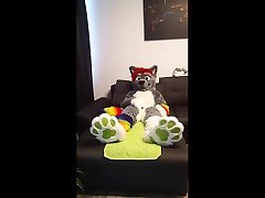 wolf pawing and cumming two times