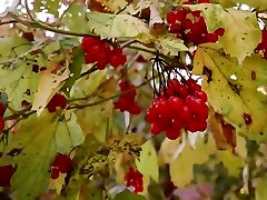 OUTDOOR - japan mom get massage gf gets off in the woods.