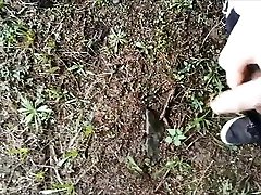 cumshot nellerba