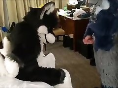 eclipse getting bred by mated wolves