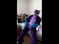 roovaaku have fun with his husky crazy old sleep again round one