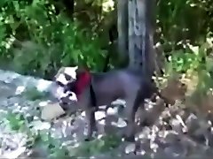 Tatooed slut jerking off several guys in the woods
