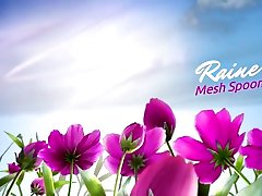 raine mesh