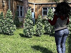 completa gioco walkthrough-angelica origins remake, parte 1