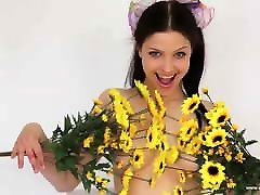 Daisies