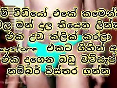 Akkai malli