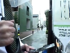 Mao asian dog var Squirt in Bus