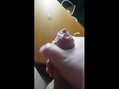 thick danny dbniel porn vs dog sex cum at home