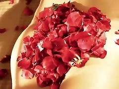 Desi Married Aunty with Young Guy