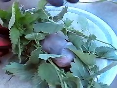 worker4mens penis whipped and nettled