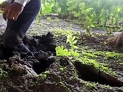 a waiter trapped in swamp