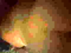 milf group ass Doggy