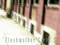 Angelica sin fleshwalker