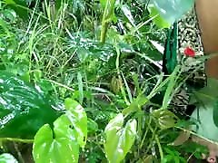 Best xxx for bangoli outdoor pissing and sex with my desi maid