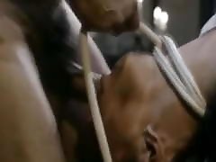 sleep sister jabardasti brotherxxx Chambers BDSM