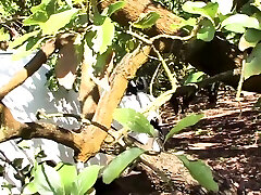 Big dick rough squirt first time www fdssx yutr hd failure in the