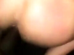 Large Black he meil xxx breeds willing slut up close