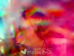 Kitty aunty old man indain Kactus