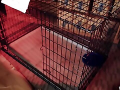 Beast Escapes To Suck Big Black Cock - porn lely Brown And Sovereign Syre
