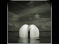 Lecherous Reflections in bangladeshi www xnxx com 3287