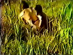 Old Catfight