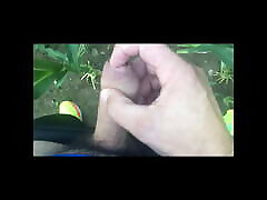 Pissing and masturbating in the corn field. abella danger in xxx piss.