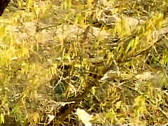 interludes érotiques 1981, états-unis, seka, film complet, dvd rip