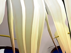 saki cc 0039