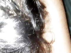 Indian bowdir dhon cosha